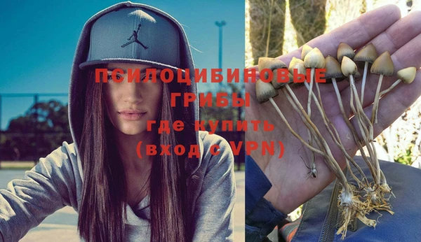 молекула духа Алексеевка