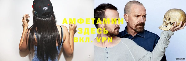молекула духа Алексеевка
