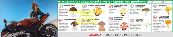 молекула духа Алексеевка