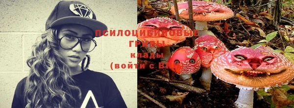 молекула духа Алексеевка
