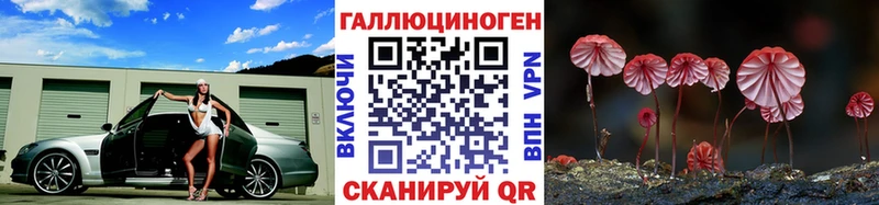 Псилоцибиновые грибы Cubensis  Щигры 